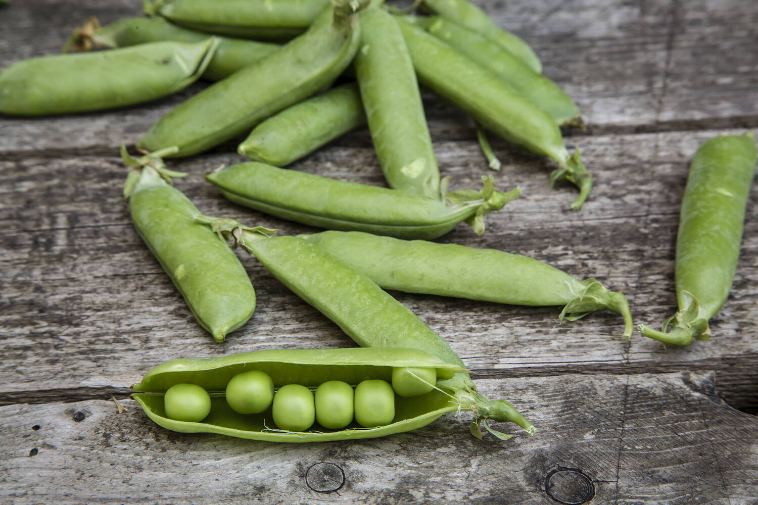 Doperwten vers verpakt 1kg stuk 3